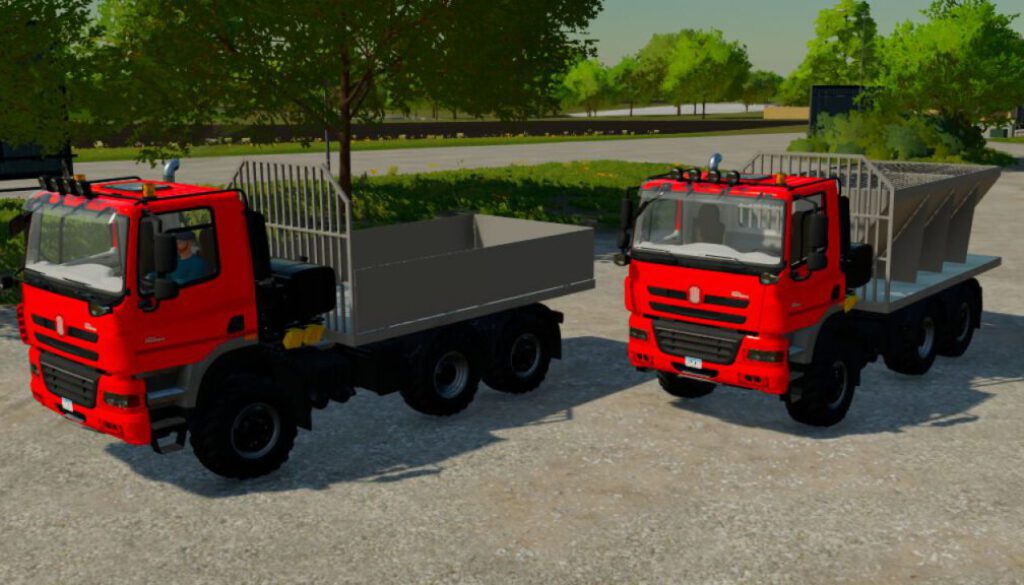 tatra-phoenix-flatbedsalt-truck-fs22-1-1