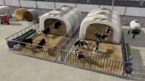 lizard-calf-huts-fs22-1-1