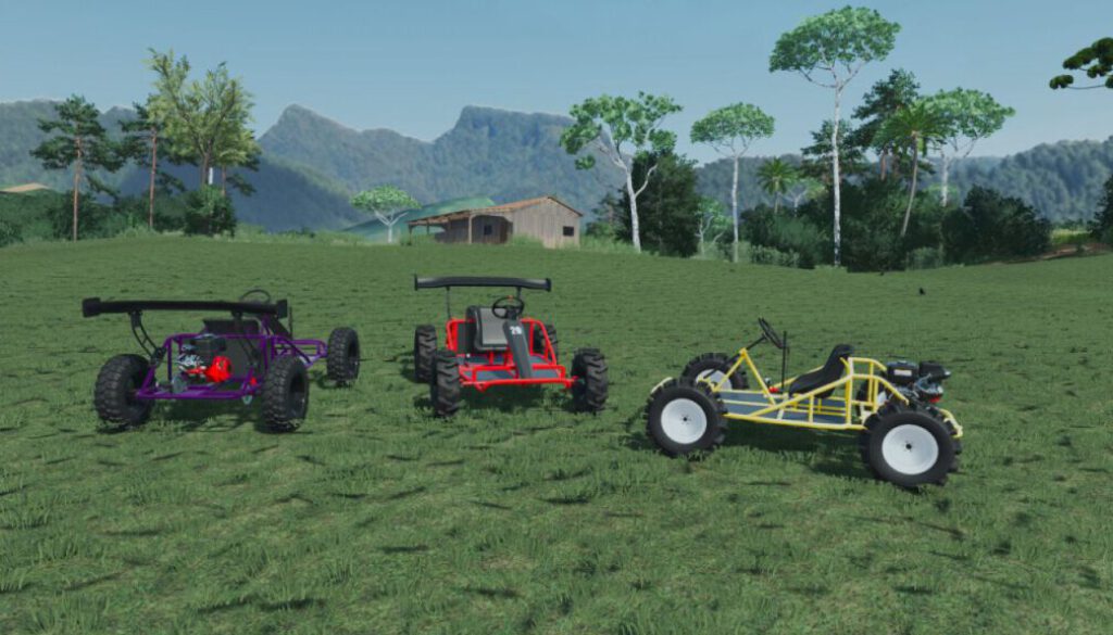 lizard-mini-buggy-fs22-1-1