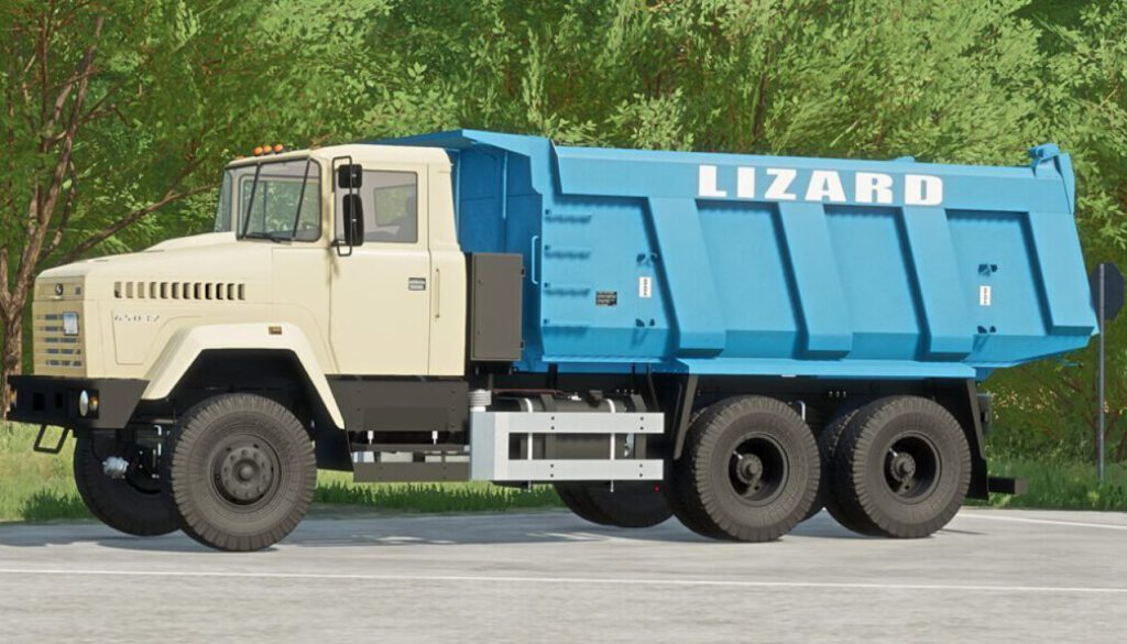 lizard-65032-fs22-1-1