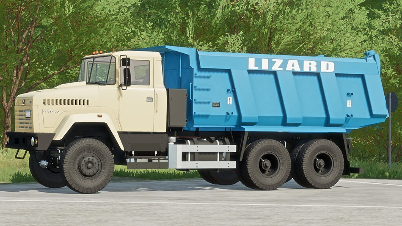 lizard-65032-fs22-1-1