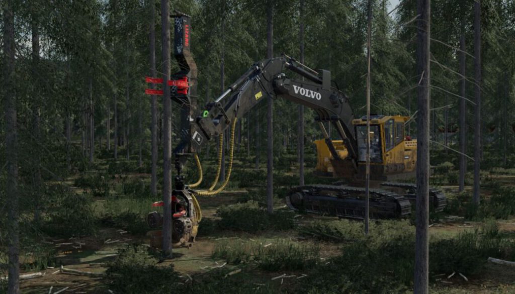 lizard-forestry-adh-18-fs22-1-1