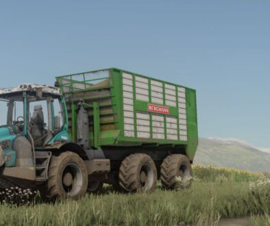 felix-pfanzelt-fs22-1-1