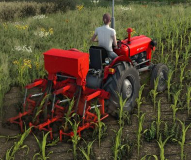 tim-weeder-2-row-fs22-hdEut