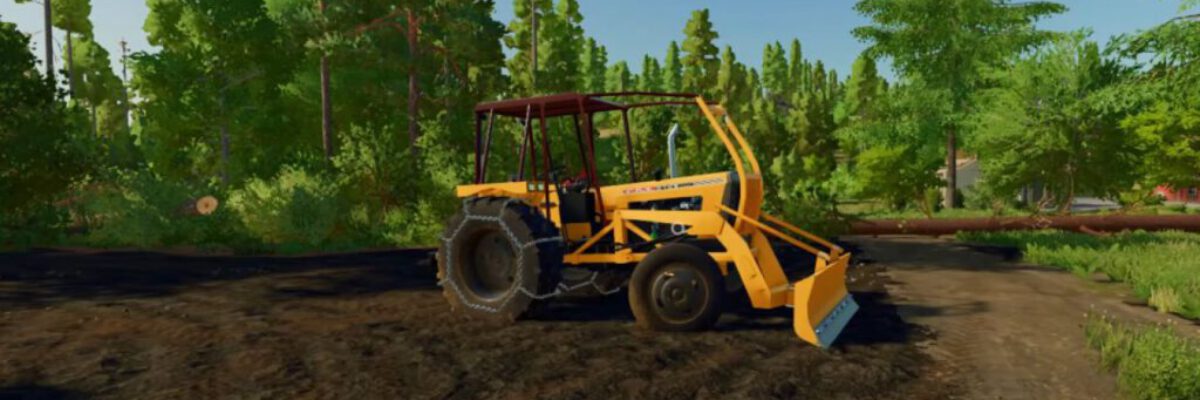 lizard-cbt-2105-fs22-ZUKz4