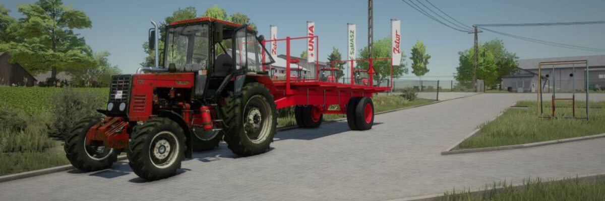 lizard-sam-14-fs22-1-1