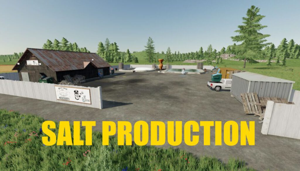 salt-production-fs22-2-1