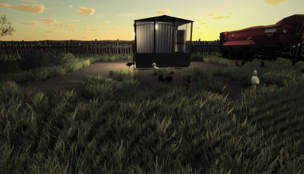 small-chicken-coop-4-fs22-1-1