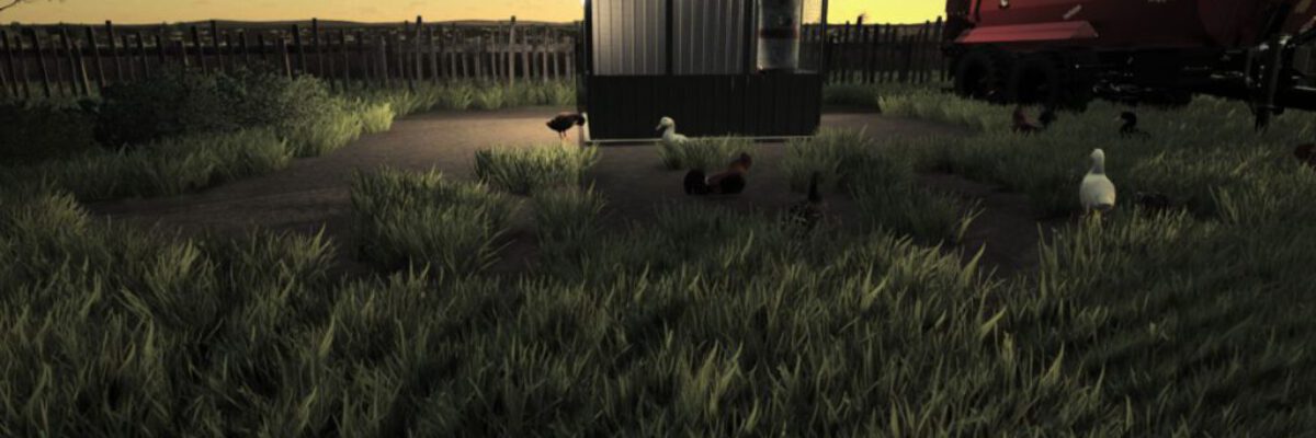 small-chicken-coop-4-fs22-1-1