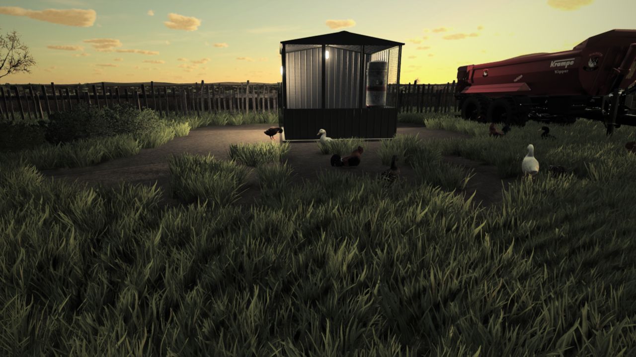 small-chicken-coop-4-fs22-1-1