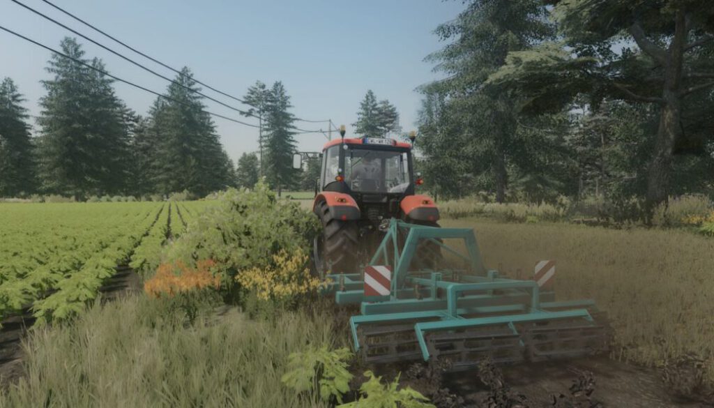 lizard-sd1-fs22-1-1