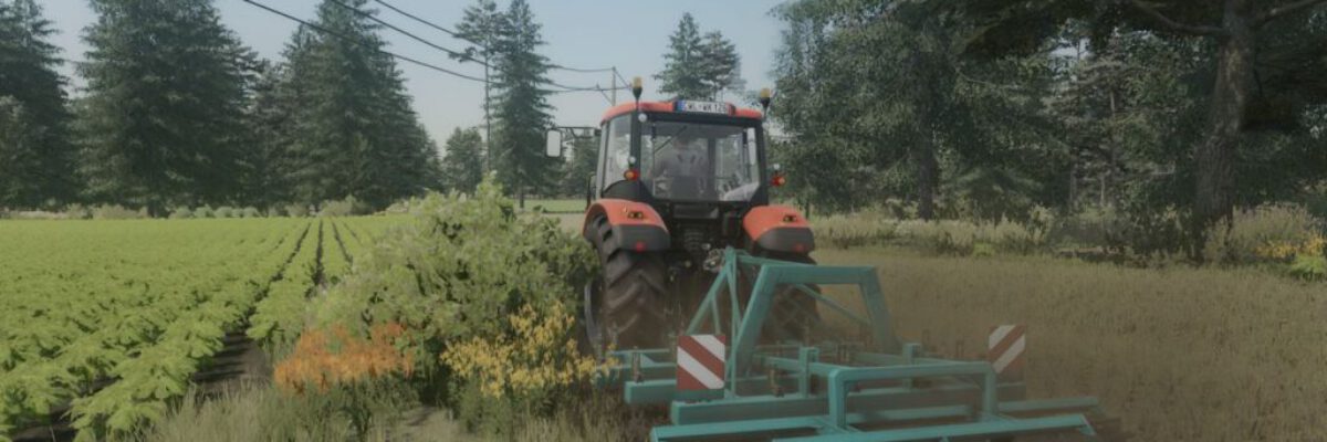 lizard-sd1-fs22-1-1