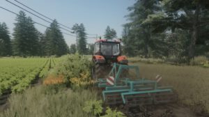 lizard-sd1-fs22-1-1