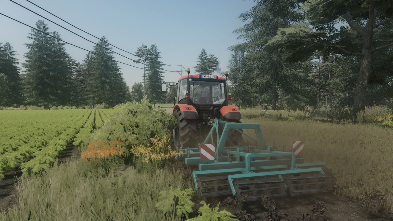 lizard-sd1-fs22-1-1