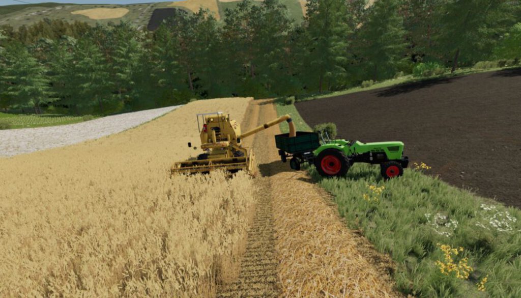 clayson-30-fs22-1-1