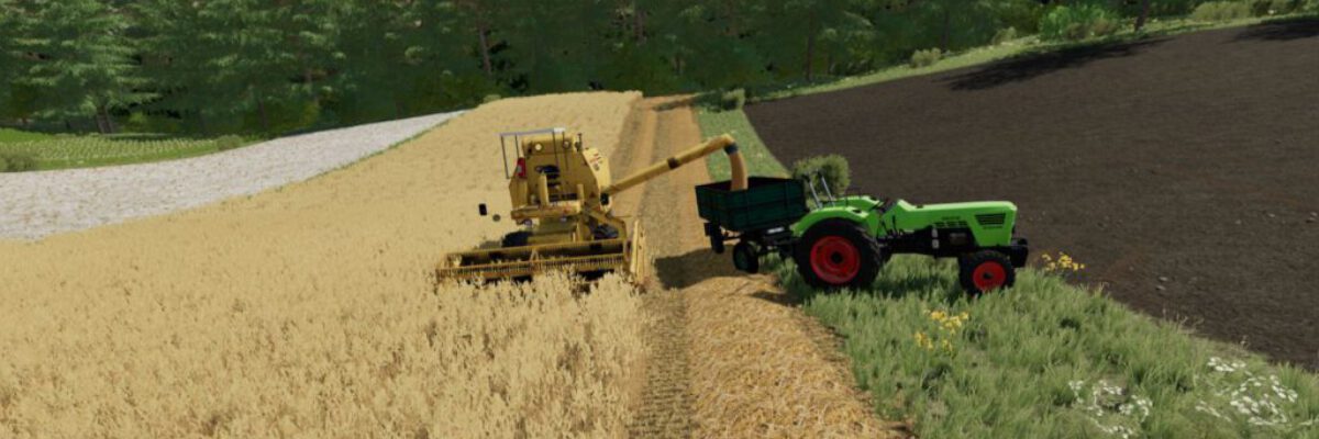 clayson-30-fs22-1-1