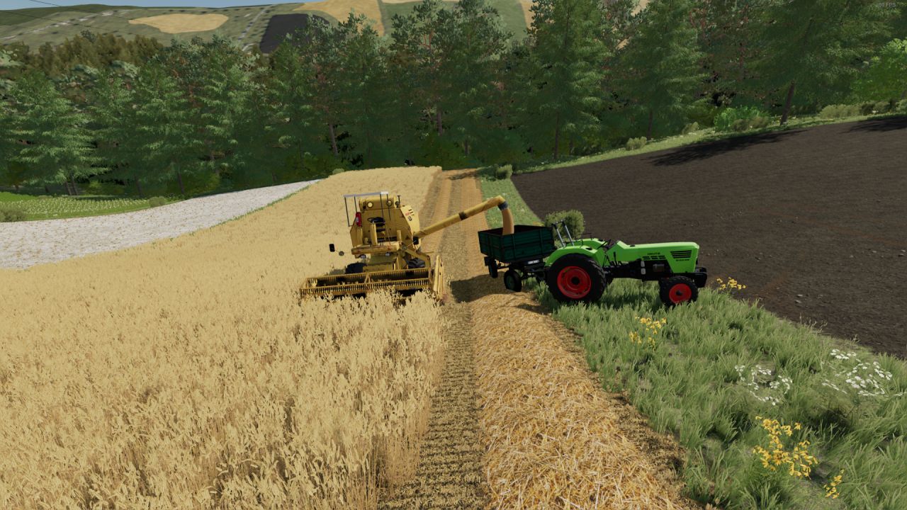 clayson-30-fs22-1-1