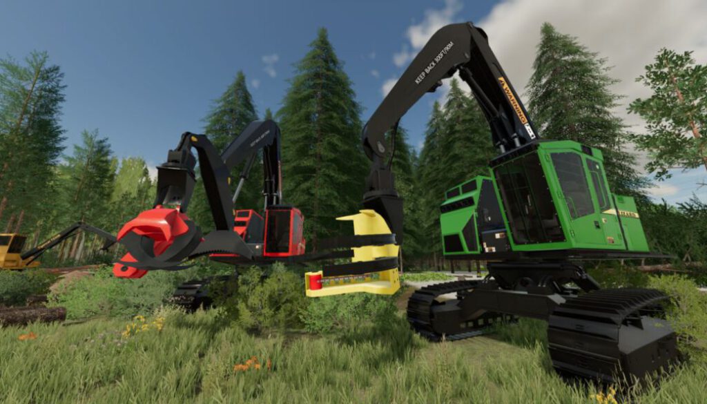 lizard-853859-fs22-2-1