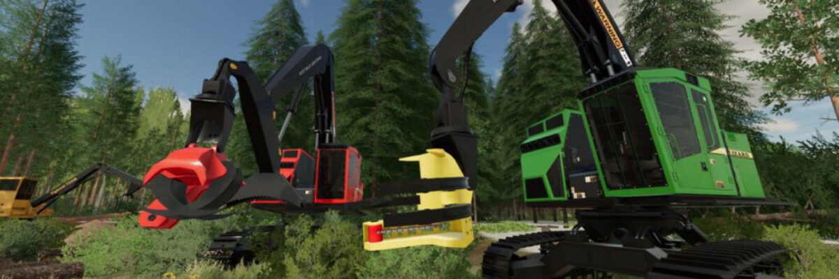 lizard-853859-fs22-2-1