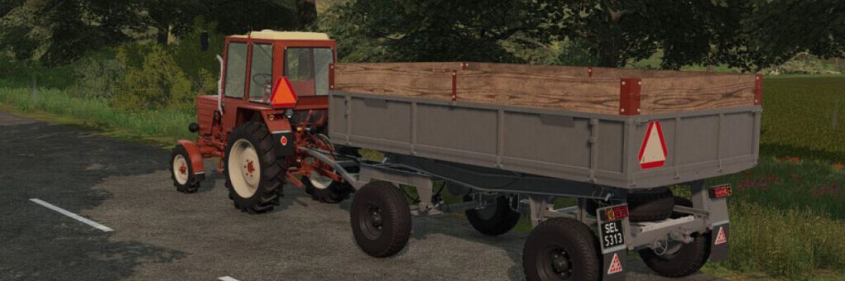 lizard-d47-fs22-1-1