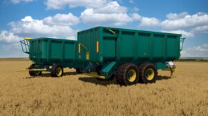 lizard-rt16-fs22-4-1