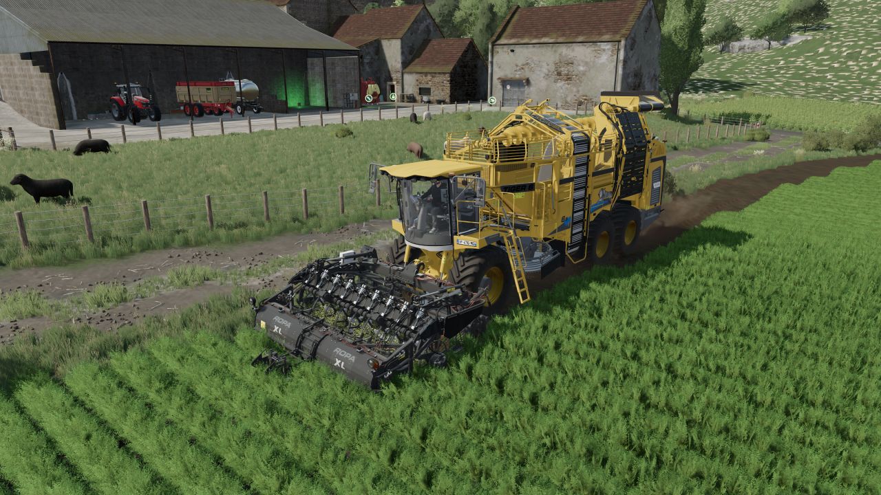 ropa-tiger-6s-multifruits-fs22-1-1