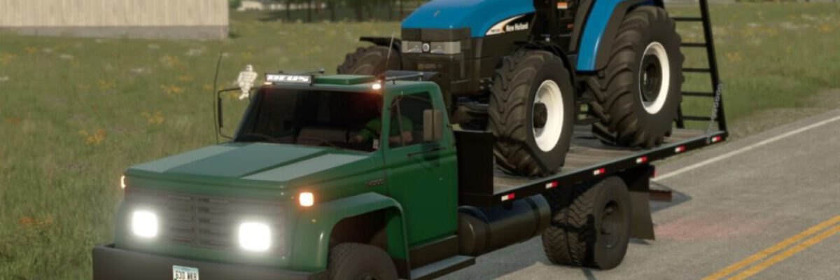 lizard-d-14000-fs22-1-1