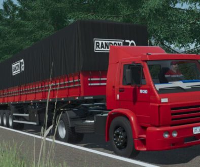lizard-18-310-fs22-1-1